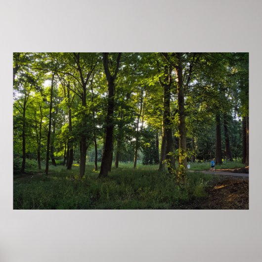 Zomeravond, Bute Park, Cardiff Poster (Voorkant)