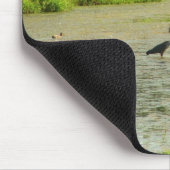 Zomerbad Muismat (Hoek)