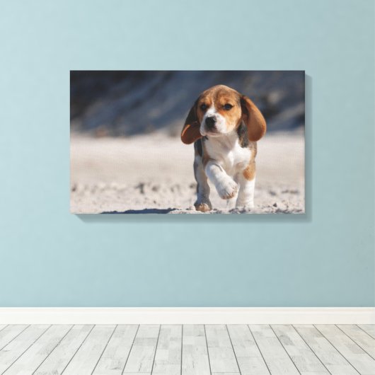 Zomerbeagle Canvas Afdruk (Insitu (Houten vloer))