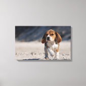 Zomerbeagle Canvas Afdruk (Voorkant)