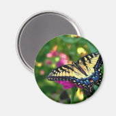 Zomerbezoeker Magneet (Voorkant / Achterkant)