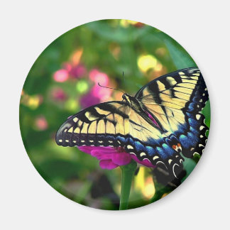 Zomerbezoeker Magneet