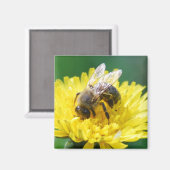 zomerbij magneet (Voorkant / Achterkant)