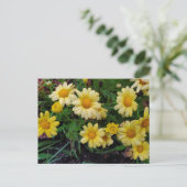 zomerbloem briefkaart (Staand voorkant)