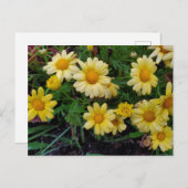 zomerbloem briefkaart (Voorkant / Achterkant)