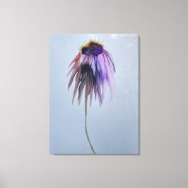 Zomerbloem Gewikkelde Canvas Print