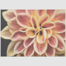 zomerbloem (mooie Florale kunst)