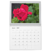 Zomerbloemen 2025 kalender (Mar 2027)