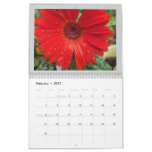 Zomerbloemen 2025 kalender (Feb 2027)