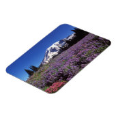 zomerbloemen aan de basis van de berg Rainier, Magneet (Linkerzijde)