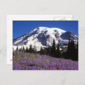 zomerbloemen aan de basis van de Mount Rainier, 2 Briefkaart (Voorkant / Achterkant)