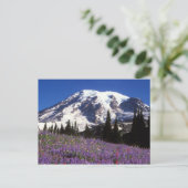 zomerbloemen aan de basis van de Mount Rainier, 2 Briefkaart (Staand voorkant)