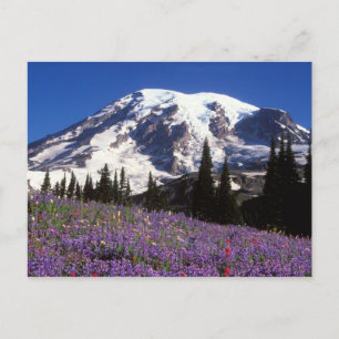 zomerbloemen aan de basis van de Mount Rainier, 2 Briefkaart