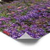 zomerbloemen aan de basis van de Mount Rainier, 2 Poster (Hoek)