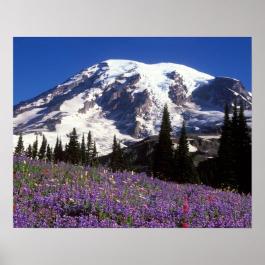 zomerbloemen aan de basis van de Mount Rainier, 2 Poster (Voorkant)