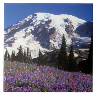 zomerbloemen aan de basis van de Mount Rainier, 2 Tegeltje