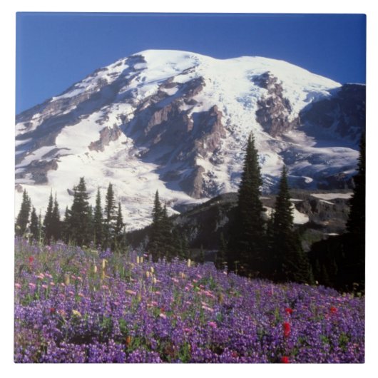 zomerbloemen aan de basis van de Mount Rainier, 2 Tegeltje (Voorkant)