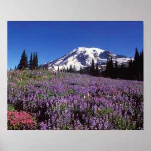 zomerbloemen aan de voet van Mount Rainier, Poster
