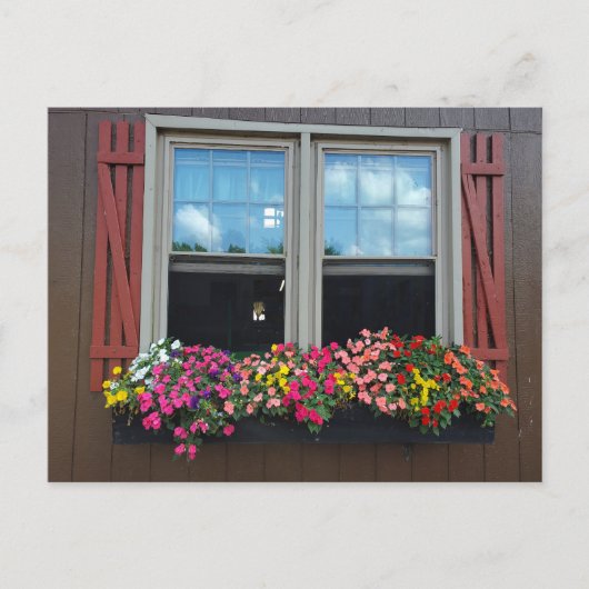 zomerbloemen briefkaart (Voorkant)