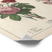 Zomerbloemen | Charlotte Mary Yonge Poster (Hoek)