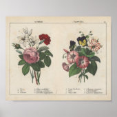 Zomerbloemen | Charlotte Mary Yonge Poster (Voorkant)