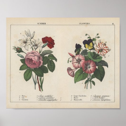 Zomerbloemen | Charlotte Mary Yonge Poster (Voorkant)