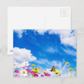 Zomerbloemen en hemel briefkaart (Voorkant / Achterkant)
