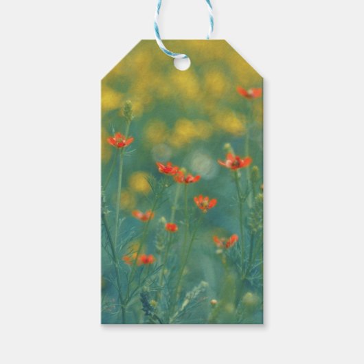 zomerbloemen (Floral Field) (Rode bloemen) Cadeaulabel (Voorkant)