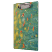 zomerbloemen (Floral Field) (Rode bloemen) Klembord (Links)