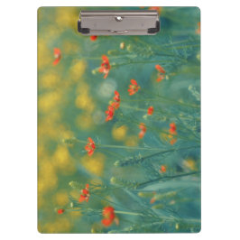 zomerbloemen (Floral Field) (Rode bloemen) Klembord