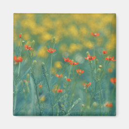 zomerbloemen (Floral Field) (Rode bloemen) Magneet