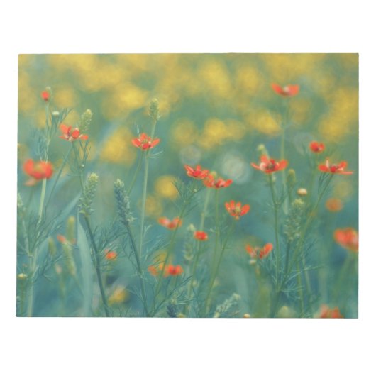 zomerbloemen (Floral Field) (Rode bloemen) Notitieblok (Voorkant)