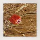 Zomerbloemen in rijp tarweveld legpuzzel (Horizontaal)