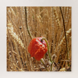 Zomerbloemen in rijp tarweveld legpuzzel