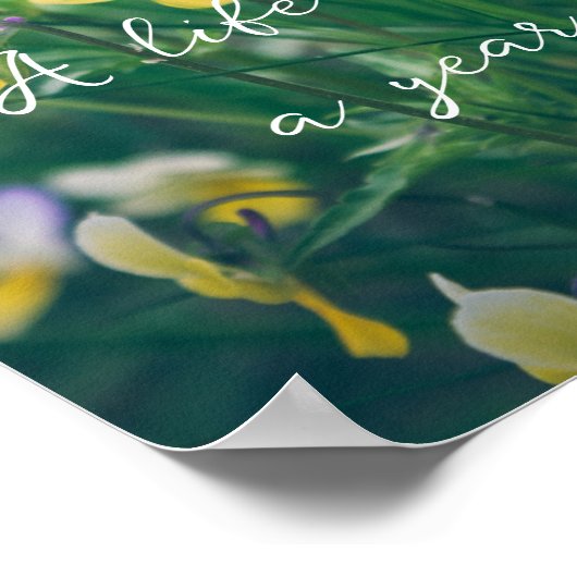 Zomerbloemen Poster (Hoek)