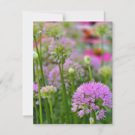 Zomerbloemen RSVP Kaartje (Voorkant)