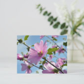 Zomerbloemen (Tree Mallow) Briefkaart (Staand voorkant)
