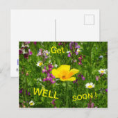 Zomerbloemen worden snel goed Briefkaart (Voorkant / Achterkant)