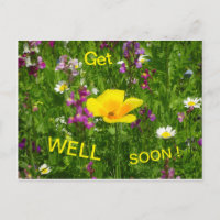 Zomerbloemen worden snel goed Briefkaart
