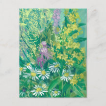 Zomerbloesem Wildbloemen Meadow Bloemen Bloemen Bl