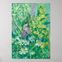 Zomerbloesem Wildbloemen Meadow Bloemen Bloemen Bl