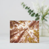 zomerbomen briefkaart (Staand voorkant)