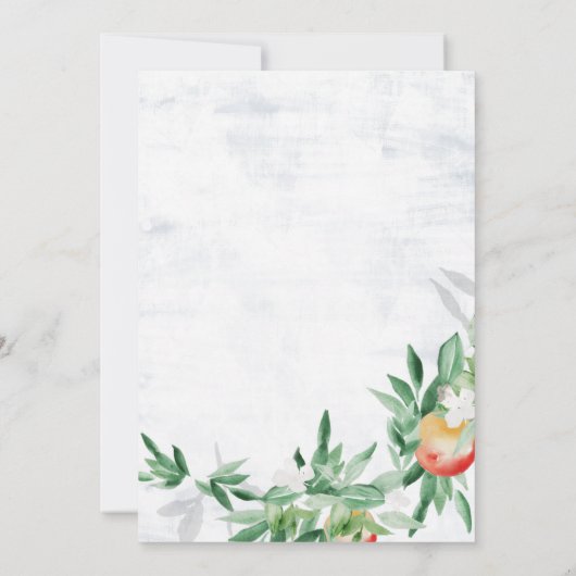 Zomerboomgaard Kaart (Achterkant)