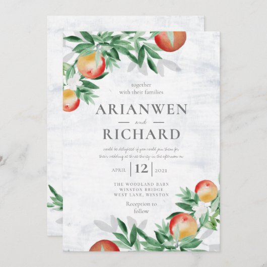 Zomerboomgaard Kaart (Voorkant / Achterkant)