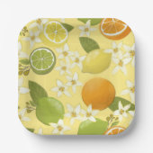 Zomercitrusvruchten Papier Borden Papieren Bordje (Voorkant)