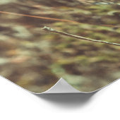 zomerdag aan de kust poster (Hoek)