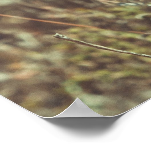 zomerdag aan de kust poster (Hoek)