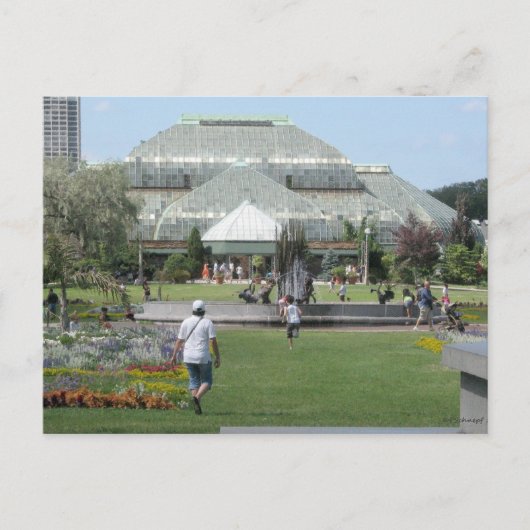 zomerdag in Chicago Briefkaart (Voorkant)