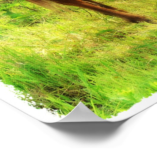 Zomerdromen, Sorrel Eating Grass Poster (Hoek)