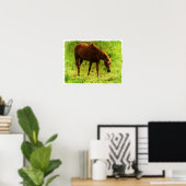 Zomerdromen, Sorrel Eating Grass Poster (Thuiskantoor)